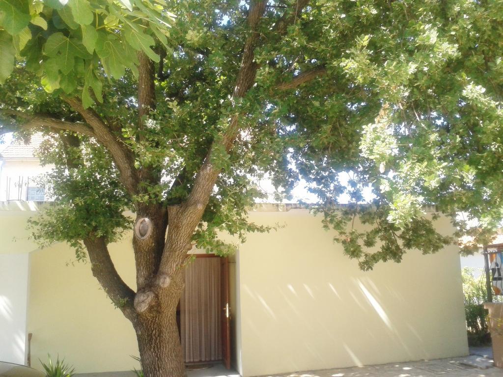 Apartments Angela Biograd na Moru Kültér fotó